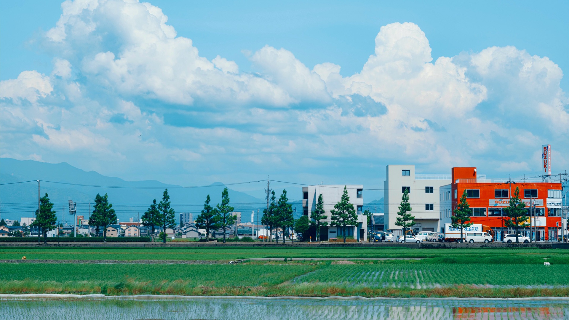 是/否应答-AI做小事 · 123GPT